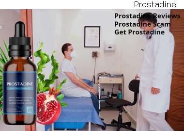 Prostadine Ingredient Reviews